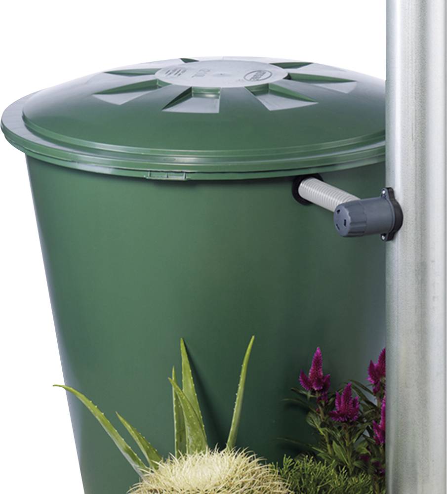 Grüner Regentonne mit geschlossenem Deckel, angeschlossen an ein Fallrohr. Pflanzen dekorieren den unteren Bereich der Regentonne.