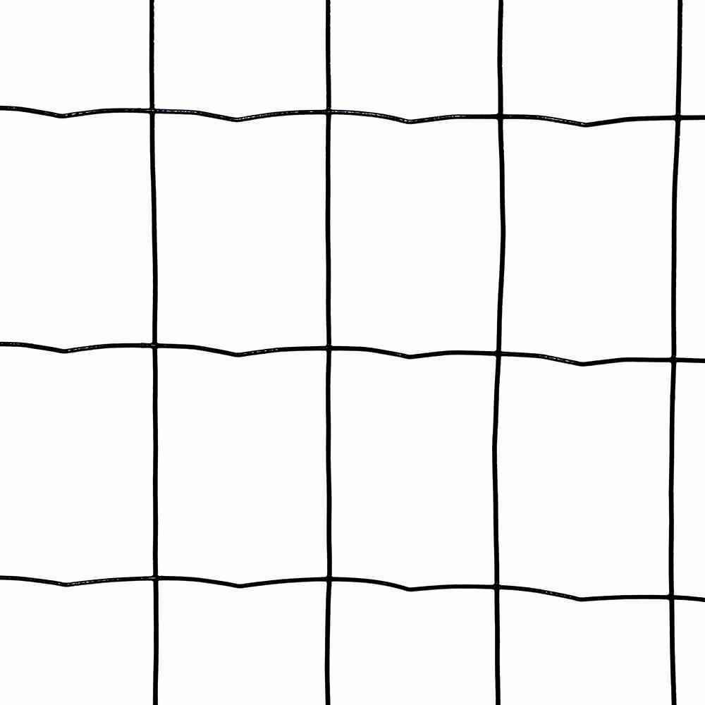 Siena Garden 229461 Ziergeflecht 25m