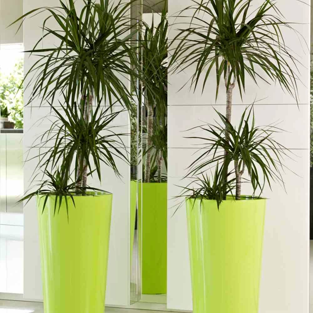 Euro3plast 2858.62Pflanztopf Kunststoff Anthrazit