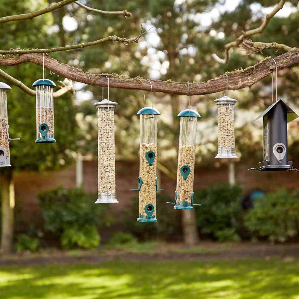 Verschiedene Vogelfutterspender hängen an einem Ast, umgeben von Bäumen in einem Garten. Sie sind gefüllt mit verschiedenen Samenarten.