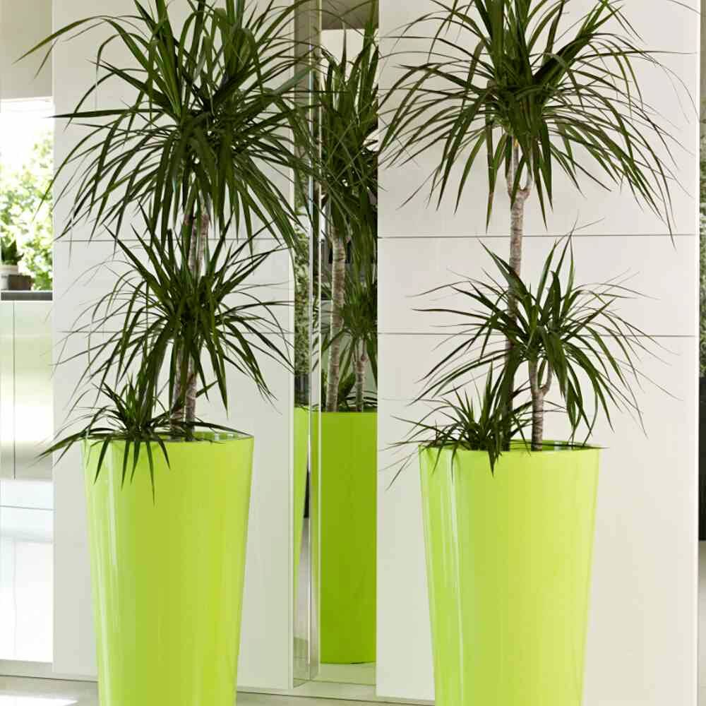 Euro3plast 2785.62Pflanztopf Kunststoff Anthrazit