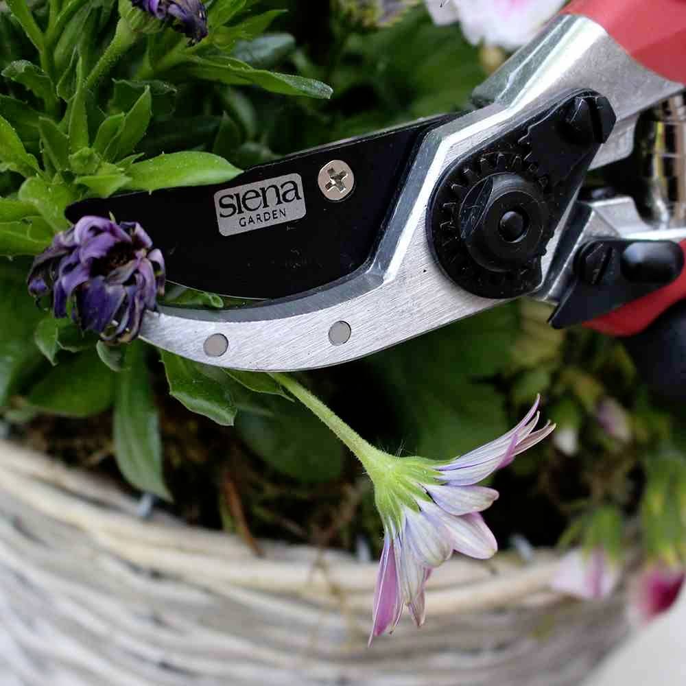 Siena Garden CG2020 Gartenschere 21.5cm Bypass