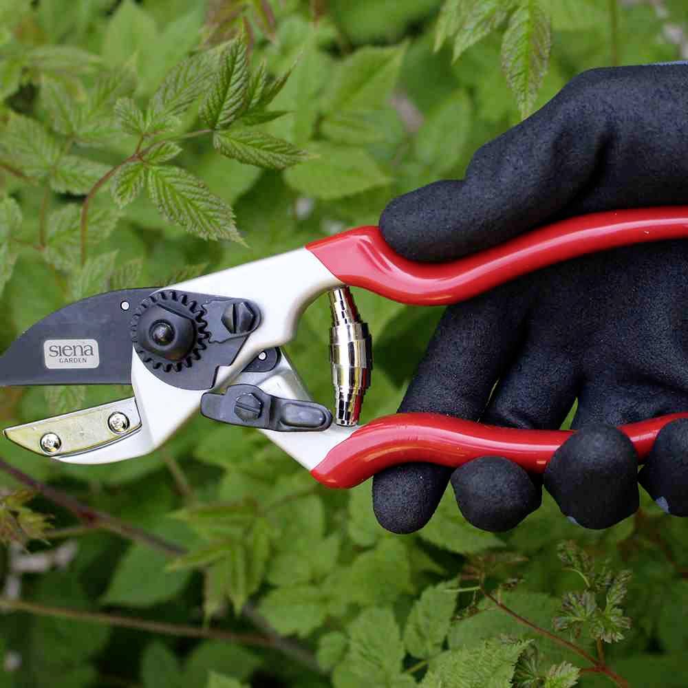 Siena Garden CG1090 Grasschere 21cm Amboss