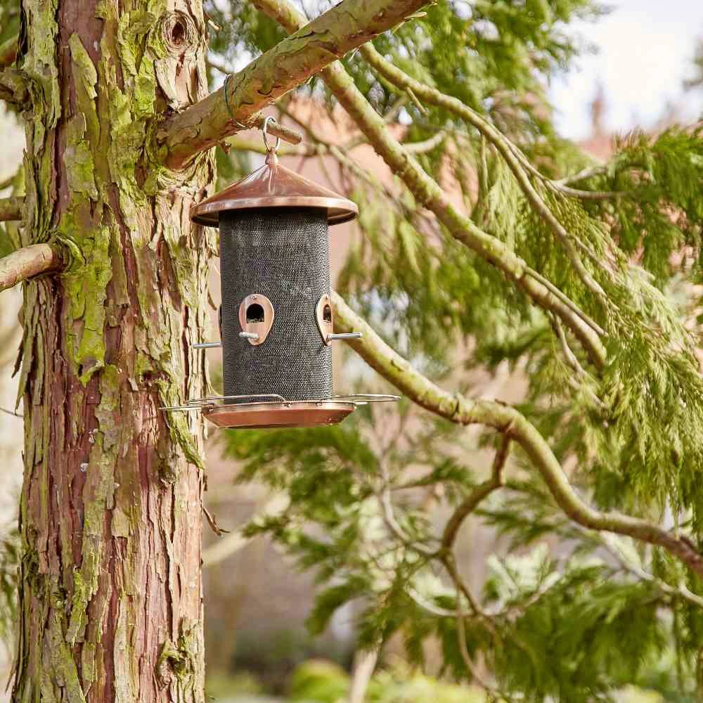 Ein Vogelfutterhaus hängt an einem Baum. Es ist zylindrisch mit zwei Sitzstangen, umgeben von grünem Laub.