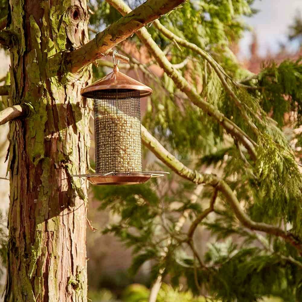 Siena Garden D37194 Vogelfuttersäule Copper Line für Nüsse, 31cm 1St.