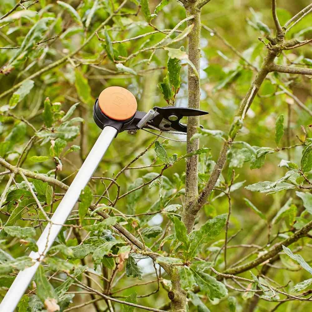 Siena Garden CT2000 Astschere Bypass