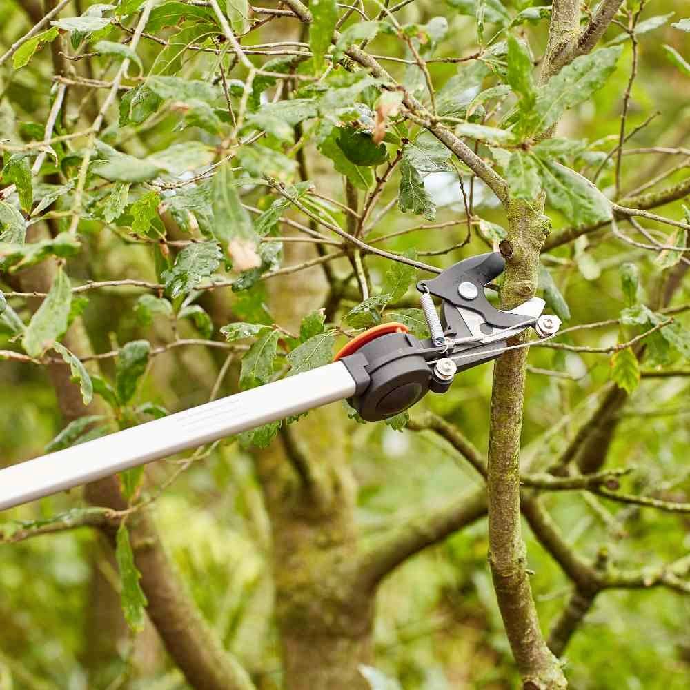 Siena Garden CT2000 Astschere Bypass