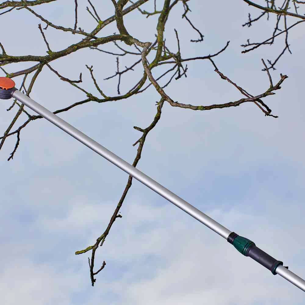 Siena Garden CT2000 Astschere Bypass