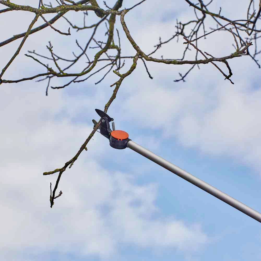 Siena Garden CT2000 Astschere Bypass