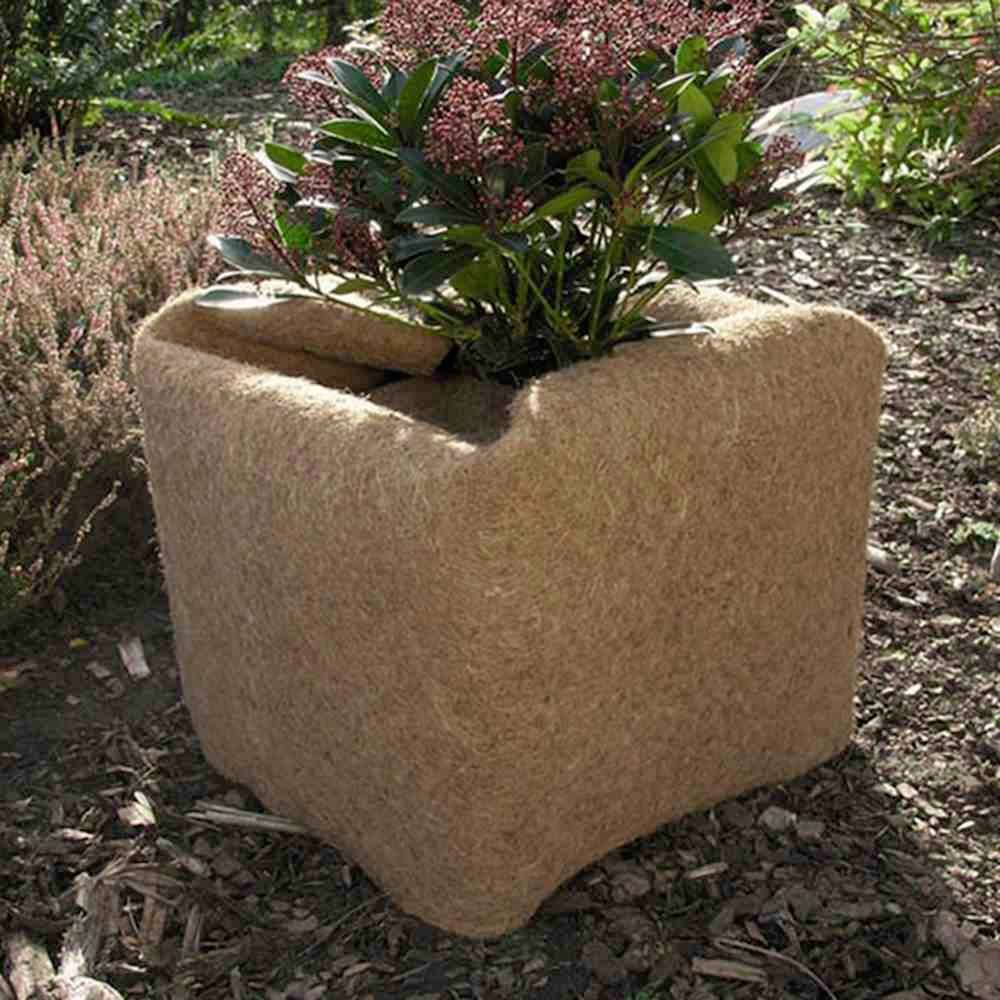 Ein natürlicher Pflanzkübel aus Kokosfasern, gefüllt mit einer blühenden Pflanze. Er steht im Freien auf einem Gartenboden.