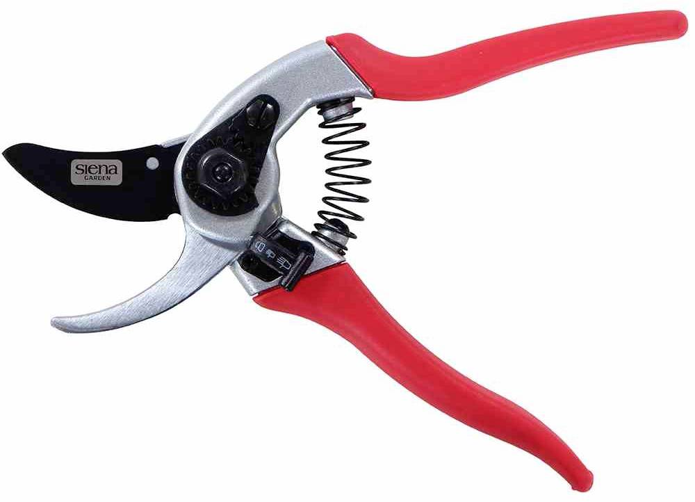 Siena Garden CG1040 Grasschere 21cm Bypass