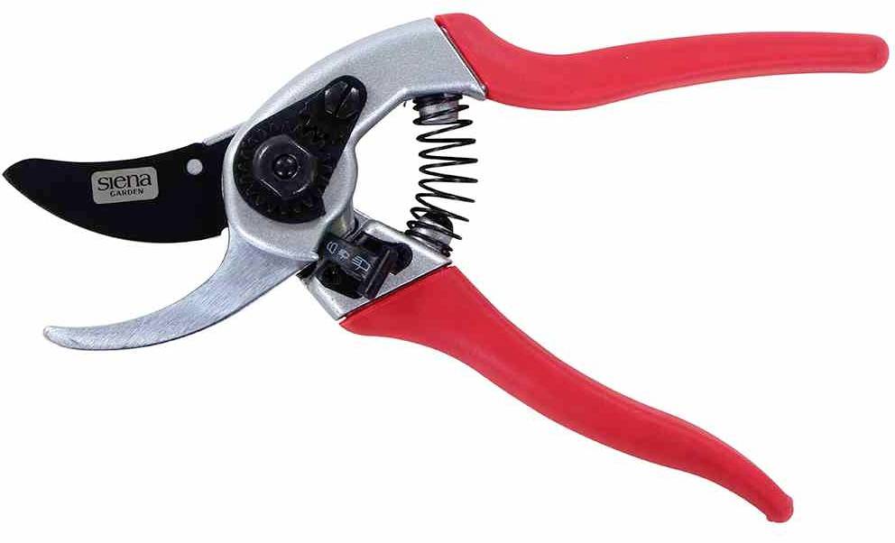 Siena Garden CG1040 Grasschere 21cm Bypass