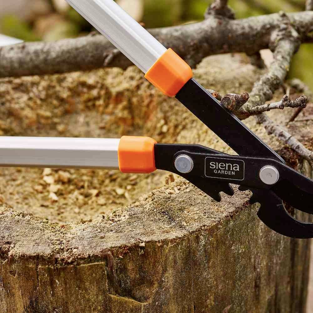 Siena Garden CL2730 Astschere Bypass