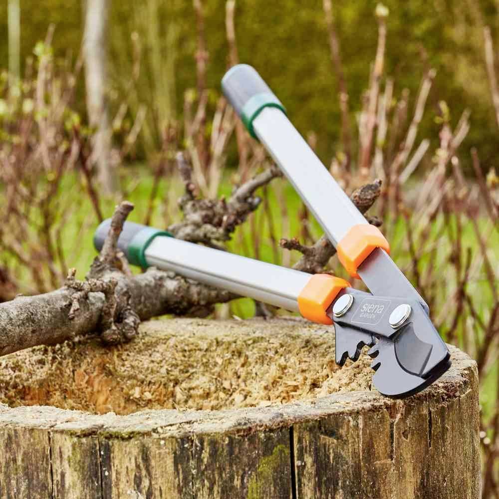 Siena Garden CL2730 Astschere Bypass