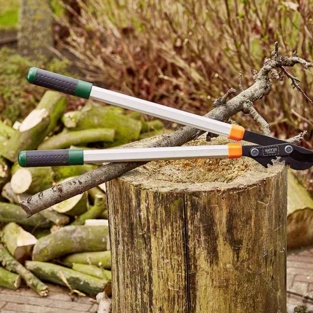 Siena Garden CL2730 Astschere Bypass