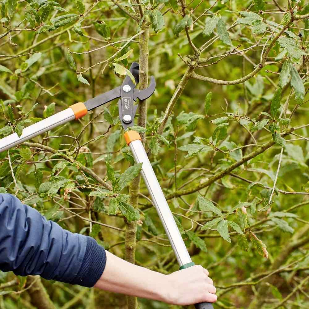 Siena Garden CL2730 Astschere Bypass