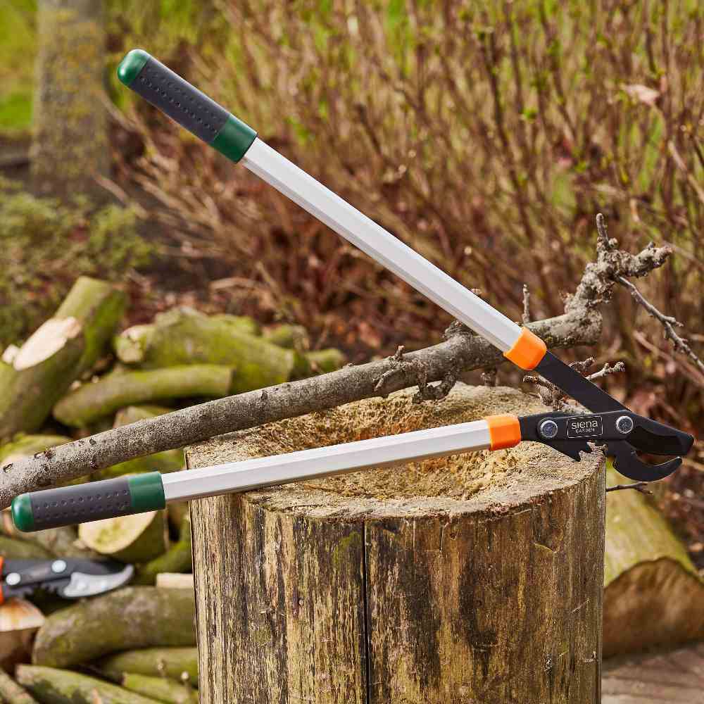 Siena Garden CL2730 Astschere Bypass