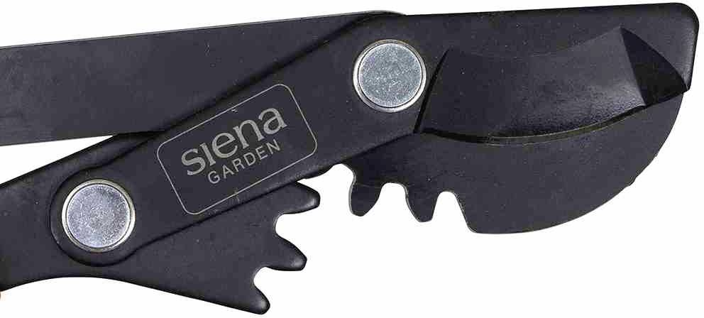 Siena Garden CL2730 Astschere Bypass