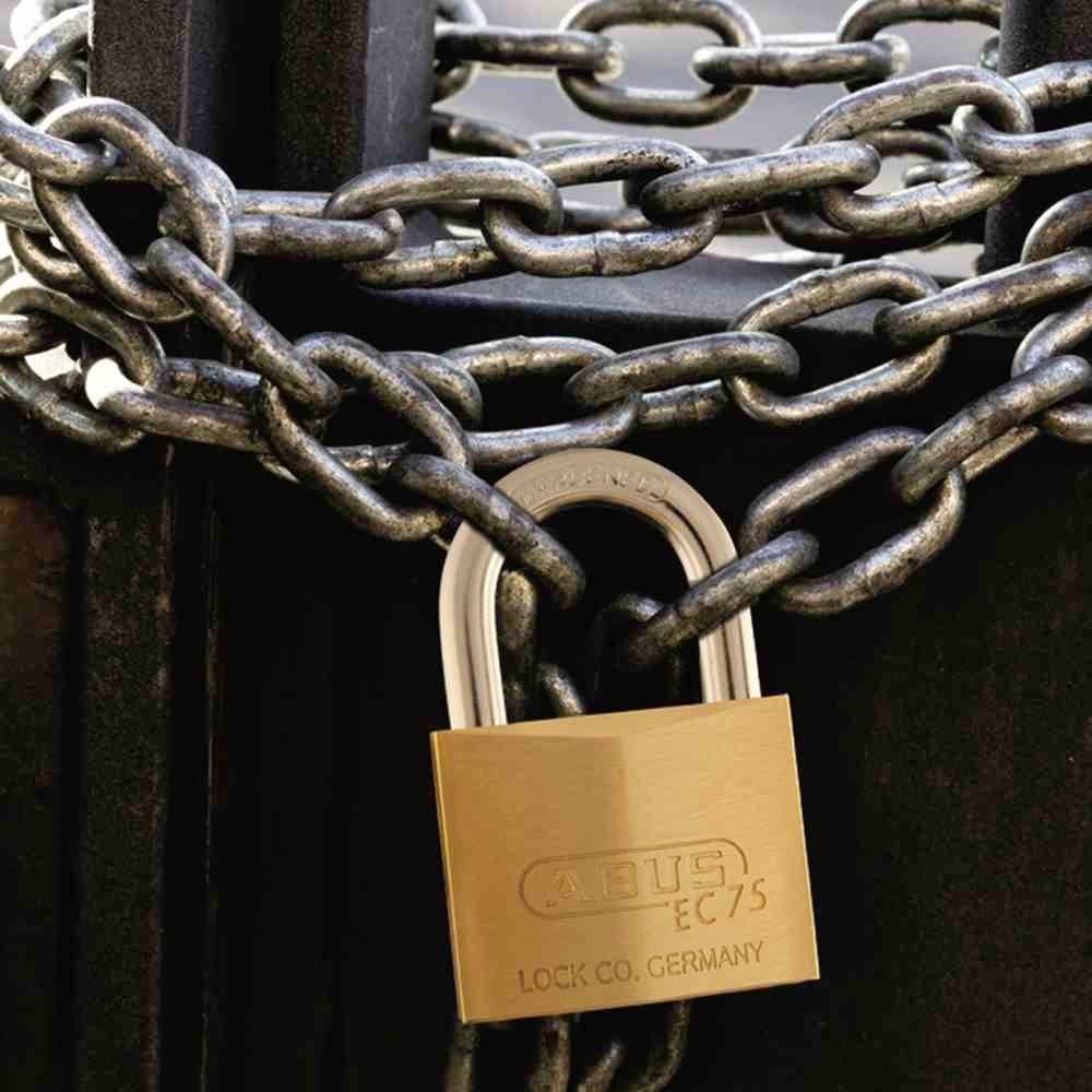 ABUS 806377 Vorhängeschloss