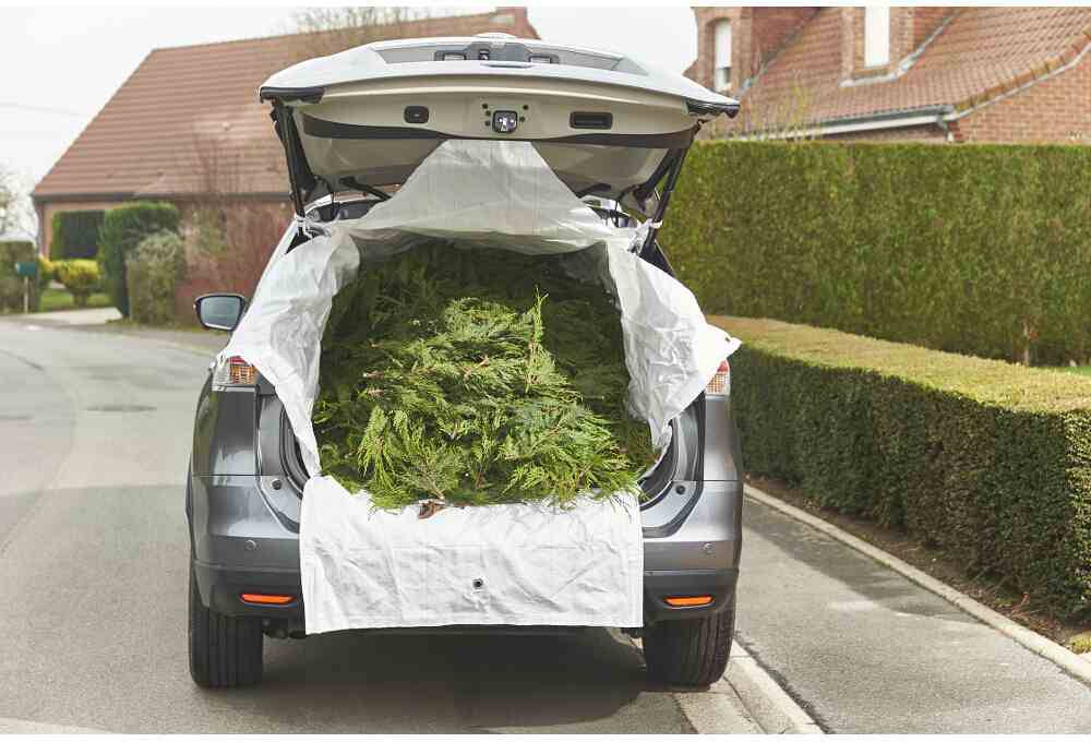 Mottez C104S Kofferraumschutz (L x B x H) 140 x 100 x 80cm