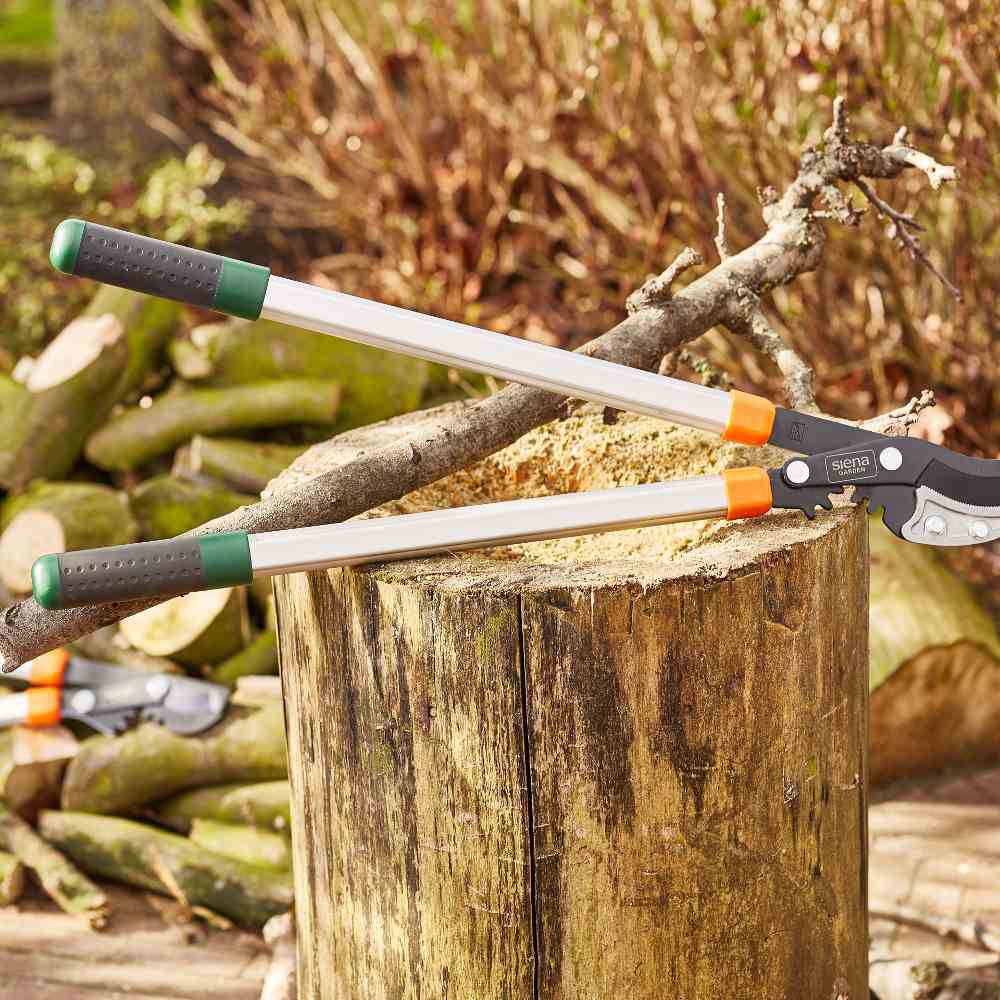 Baumschere auf einem Baumstumpf im Freien, umgeben von geschnittenen Ästen.