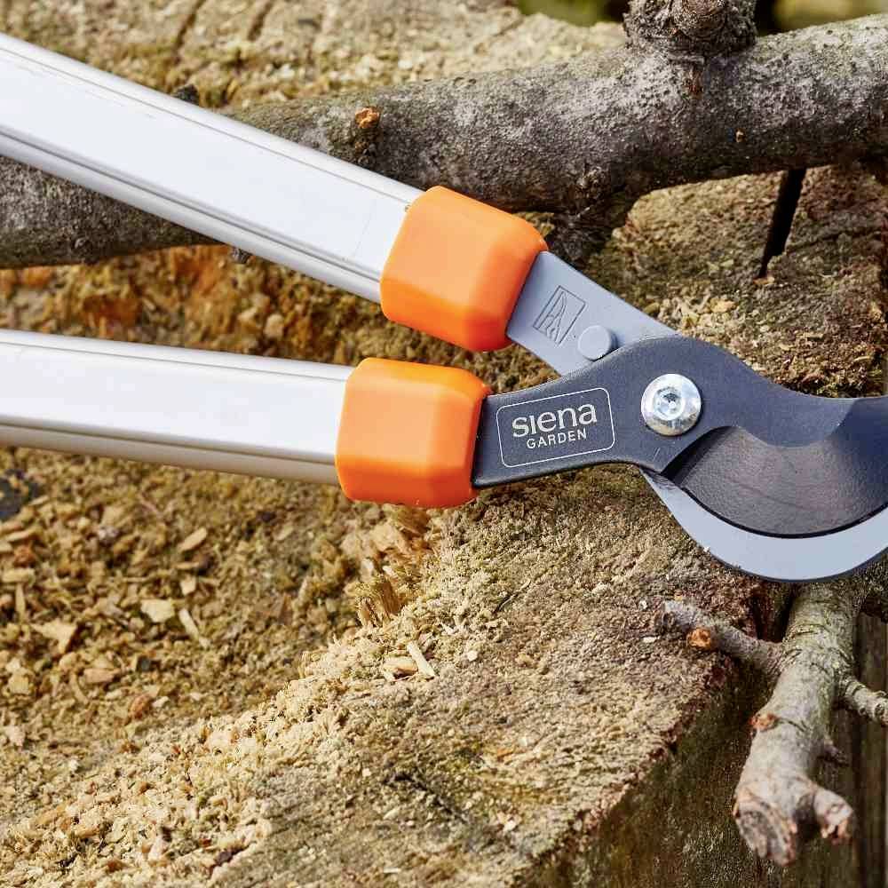 Siena Garden CL2660 Astschere Bypass