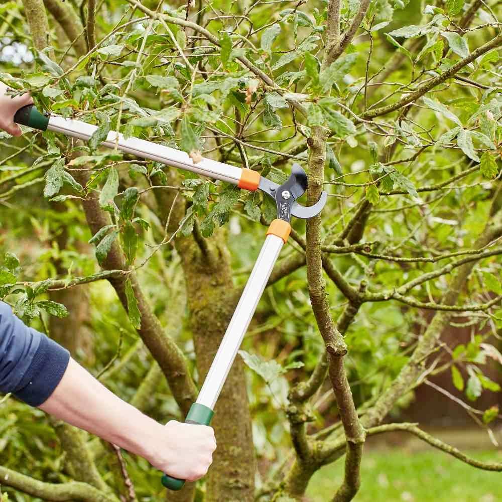 Siena Garden CL2660 Astschere Bypass