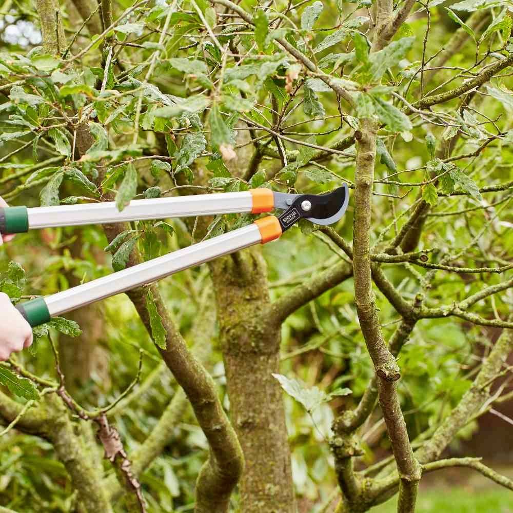 Siena Garden CL2660 Astschere Bypass