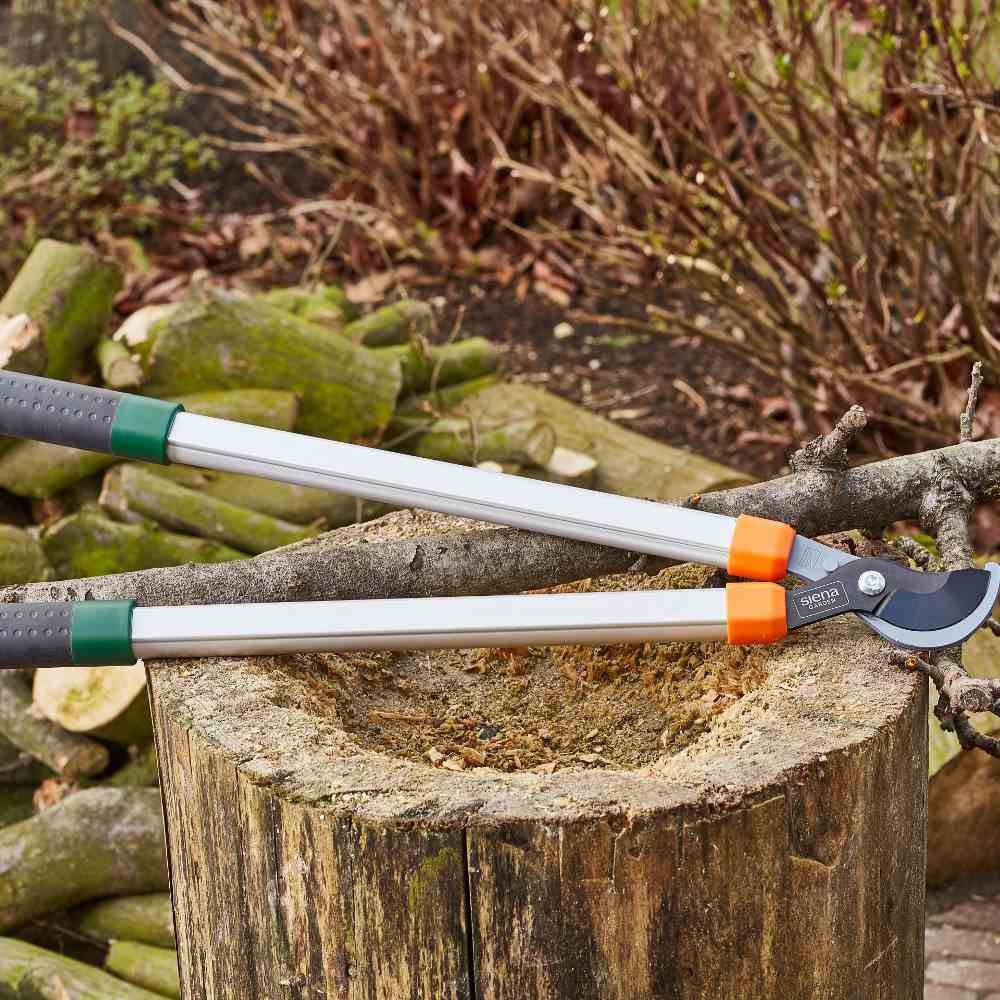 Siena Garden CL2660 Astschere Bypass