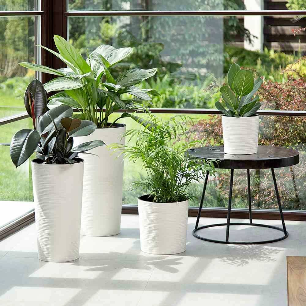 Siena Garden 727_05Pflanzgefäß Kunststoff Weiß