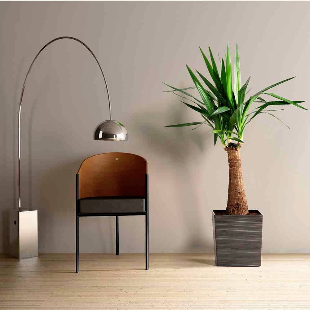 Siena Garden 600_50Pflanzgefäß Kunststoff Graphit