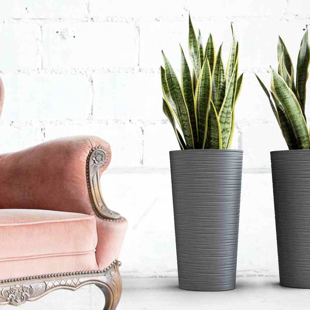 Siena Garden 727_50Pflanzgefäß Kunststoff Graphit