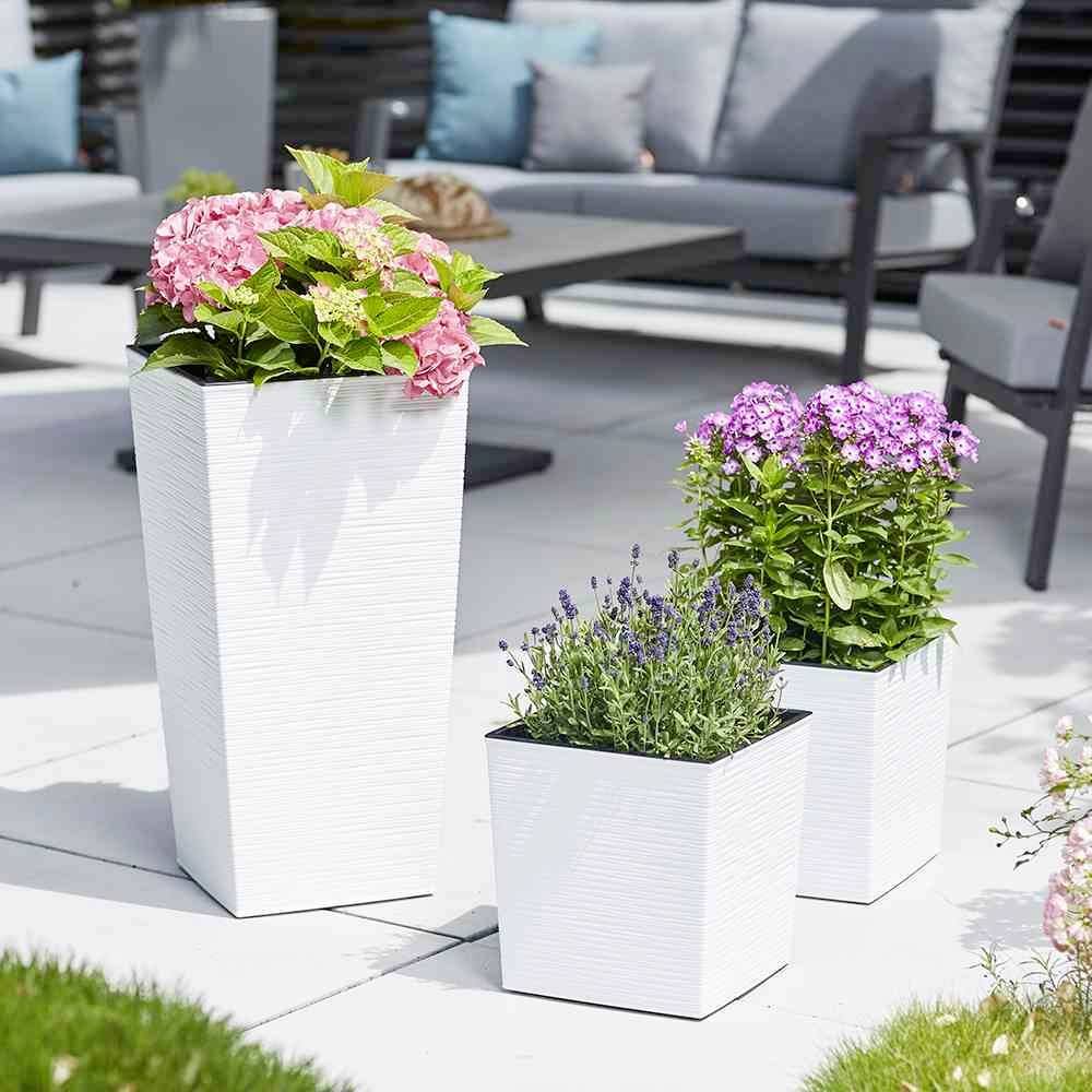 Drei weiße Blumenkübel auf einer Terrasse, bepflanzt mit rosa Hortensien, Lavendel und lila Blütenpflanzen. Im Hintergrund Gartenmöbel.
