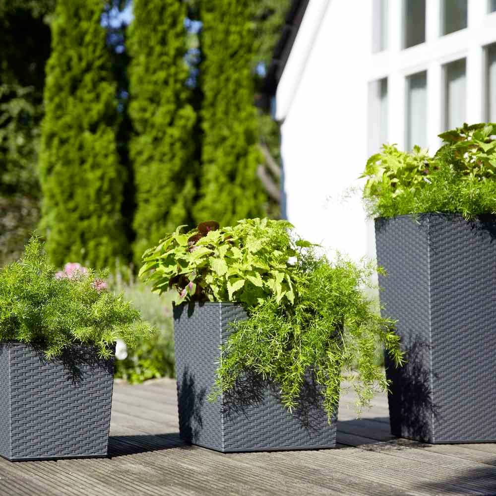 Siena Garden 589_50Pflanzgefäß Kunststoff Graphit