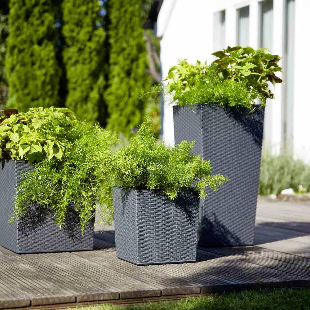 Siena Garden 591_50Pflanzgefäß Kunststoff Graphit