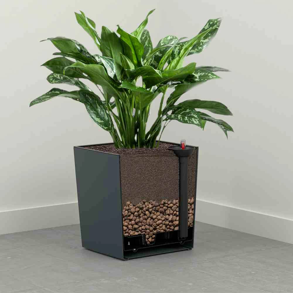 Siena Garden 601_50Pflanzgefäß Kunststoff Graphit