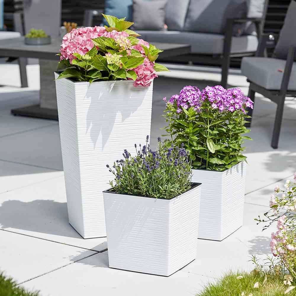 Siena Garden 590_05Pflanzgefäß Kunststoff Weiß
