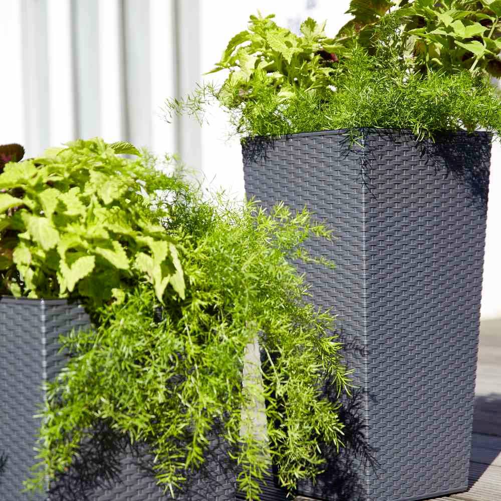 Siena Garden 590_50Pflanzgefäß Kunststoff Graphit