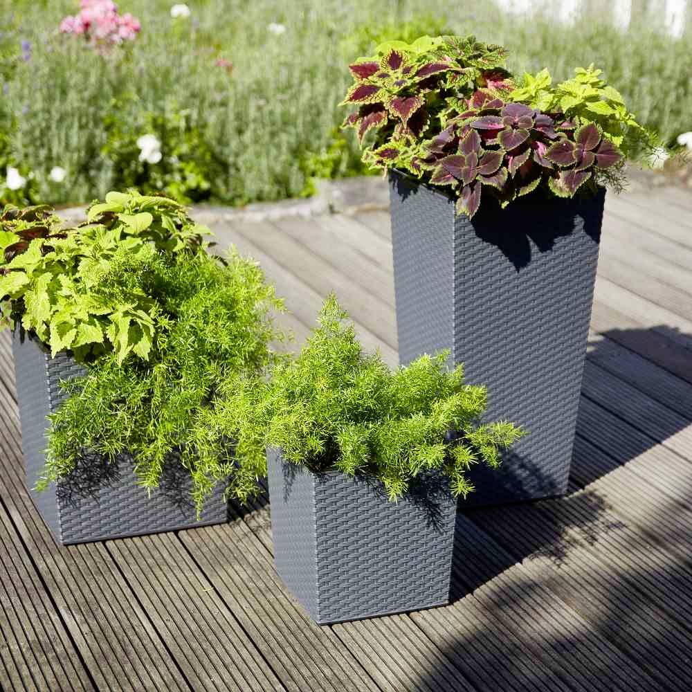 Siena Garden 590_50Pflanzgefäß Kunststoff Graphit