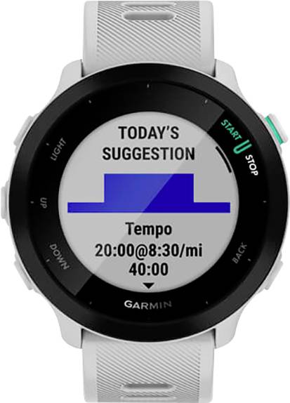 Garmin Forerunner 55 GPS, EU, Whitestone GPS-Laufuhr 42 mm Weiß