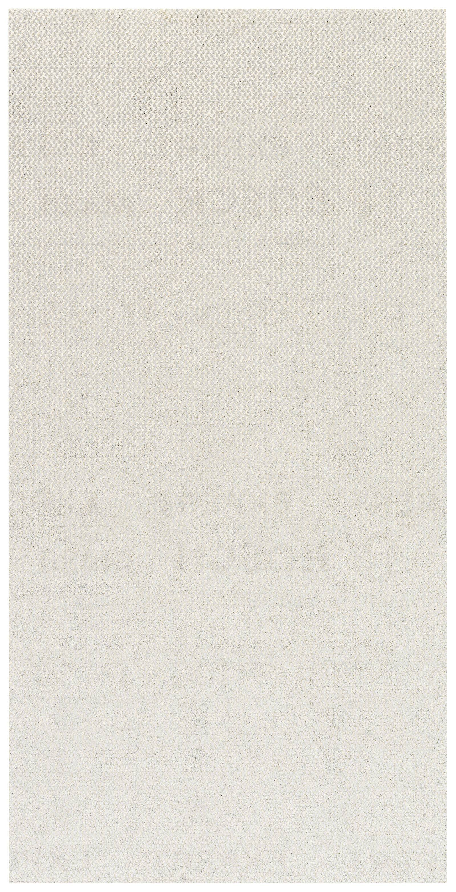 Bosch Accessories EXPERT M480 2608900770 Schleifnetz für Schwingschleifer ungelocht Körnung (num) 80 (L x B) 230mm x 115mm 50St.