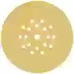 Bosch Accessories EXPERT C470 2608901148 Schleifpapier für Trockenbauschleifer gelocht Körnung (num) 80 (Ø) 225mm 25St. Bosch Accessories EXPERT C470 2608901148 Schleifpapier für Trockenbauschleifer gelocht Körnung (num) 80 (Ø) 225mm 25St.