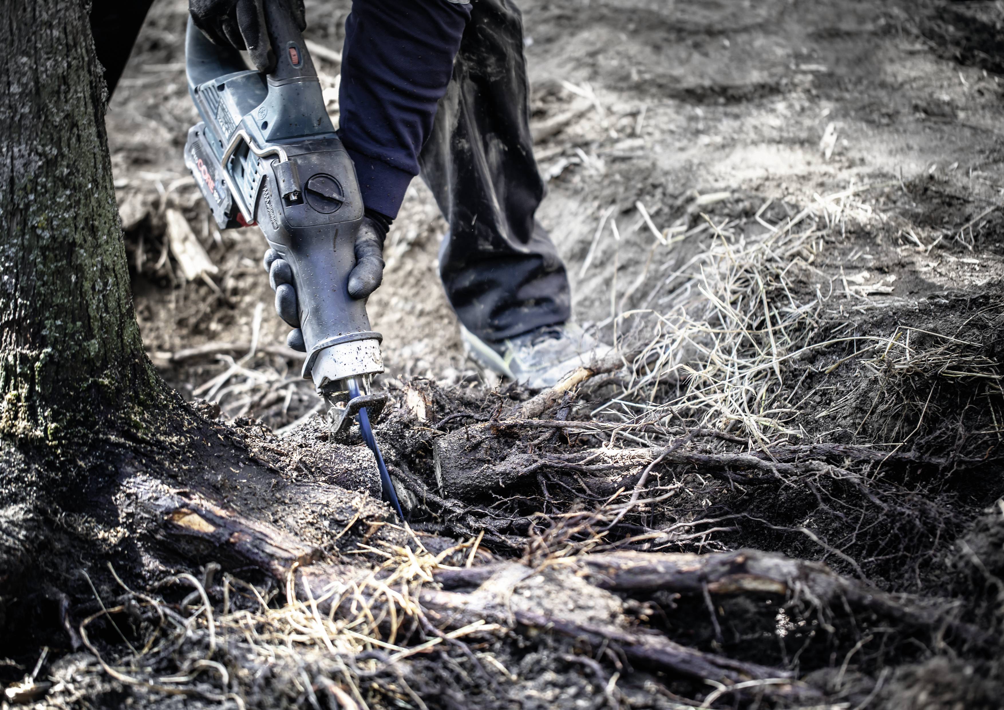 Bosch Accessories 2608900404 EXPERT ‘Tough Wood’ S 1142 KHM Säbelsägeblatt, 3 Stück Sägeblatt-Länge 225 mm 3 St.