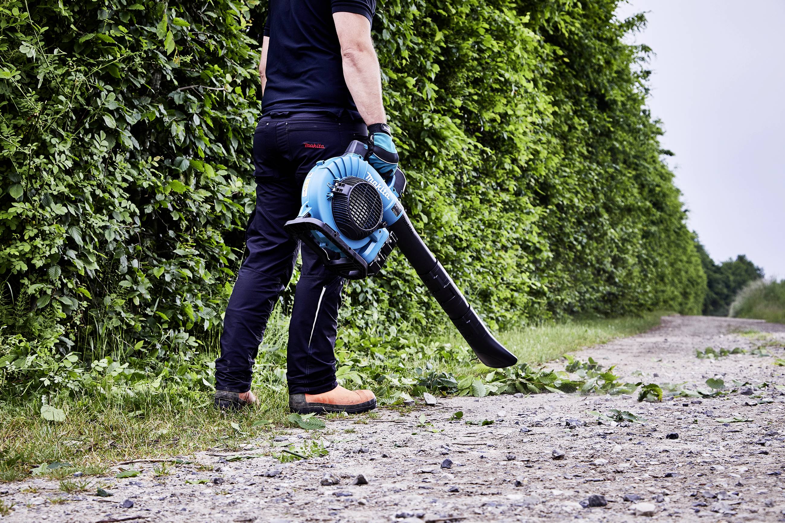 Eine Person benutzt ein Laubbläser, um Blätter von einem Weg neben einer Hecke zu entfernen.