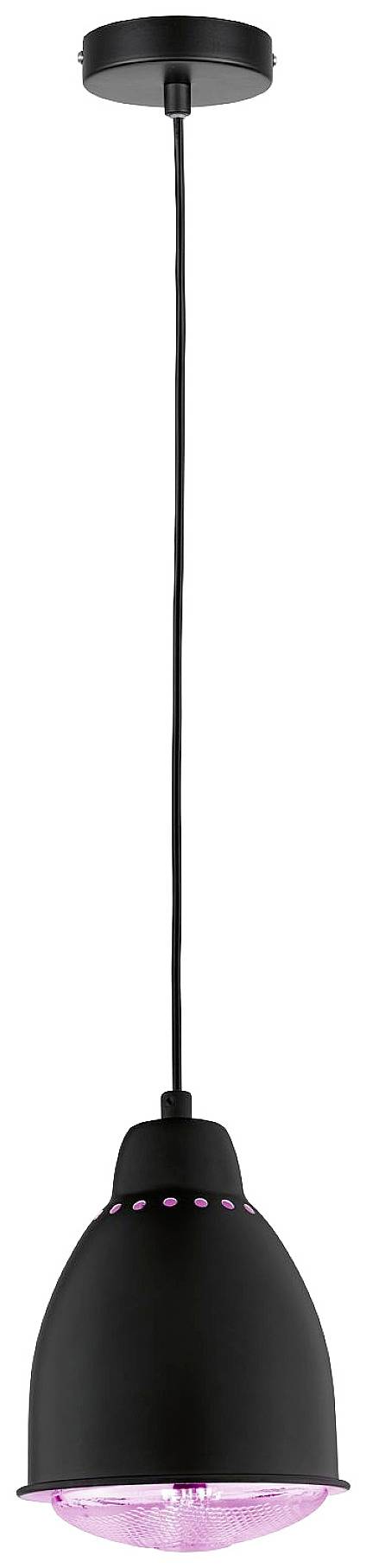 Paulmann 79763 Pendelleuchte E27 Schwarz