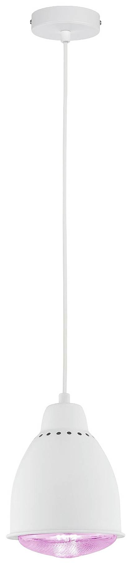 Paulmann 79764 Pendelleuchte E27 Weiß