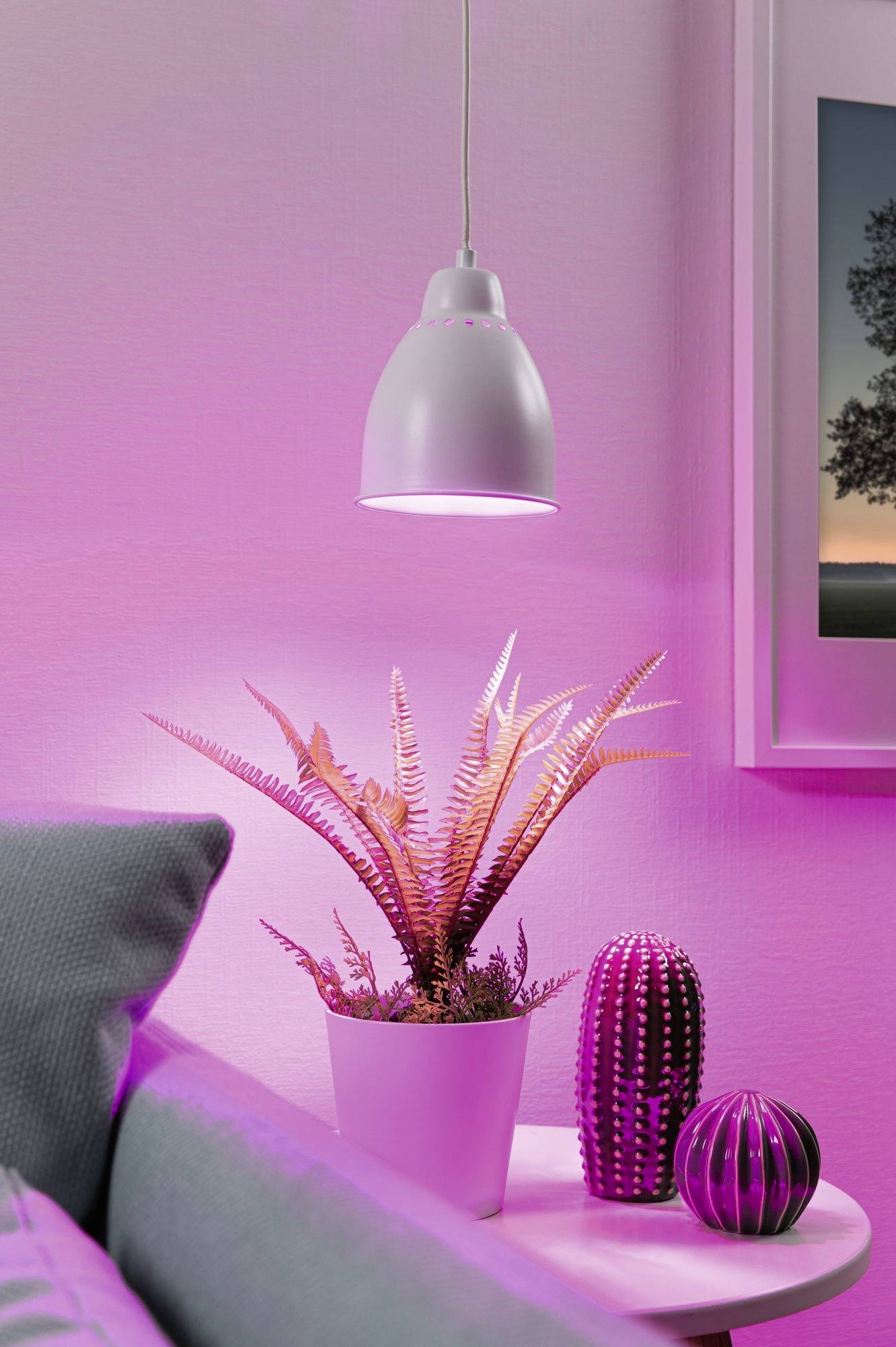 Paulmann 79764 Pendelleuchte E27 Weiß