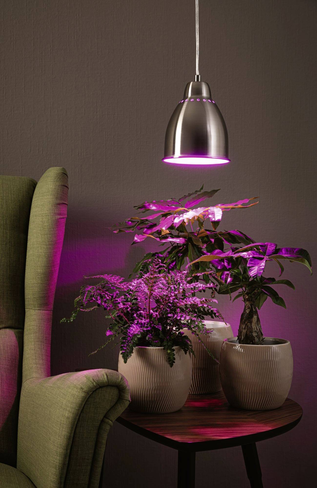 Paulmann 79765 Pendelleuchte E27