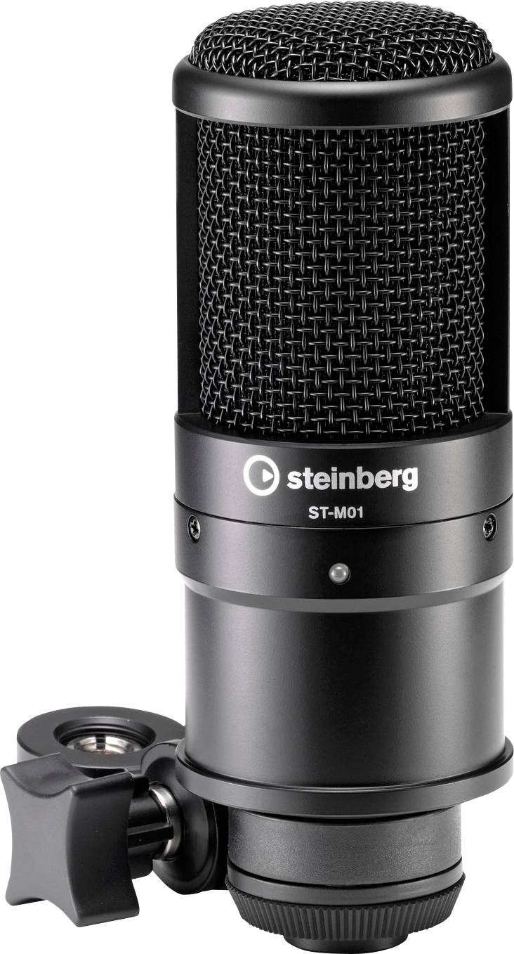 Steinberg Audio Interface UR22 MKII Recording Pack Elements Edition