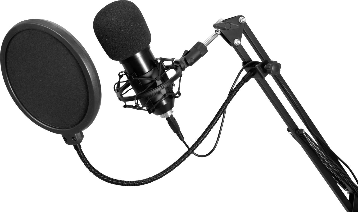 Mikrofon mit Popfilter an einem verstellbaren Arm. Geeignet für Tonaufnahmen oder Podcasts.